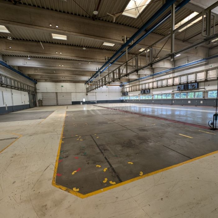 Unternehmensstandort – Halle/Produktion in Giesen zu vermieten